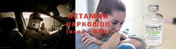 шишки Абинск