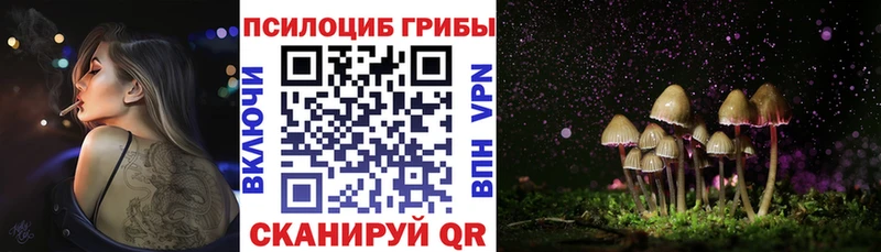 сайты даркнета как зайти  блэк спрут зеркало  Отрадное  наркота  Псилоцибиновые грибы Psilocybine cubensis 